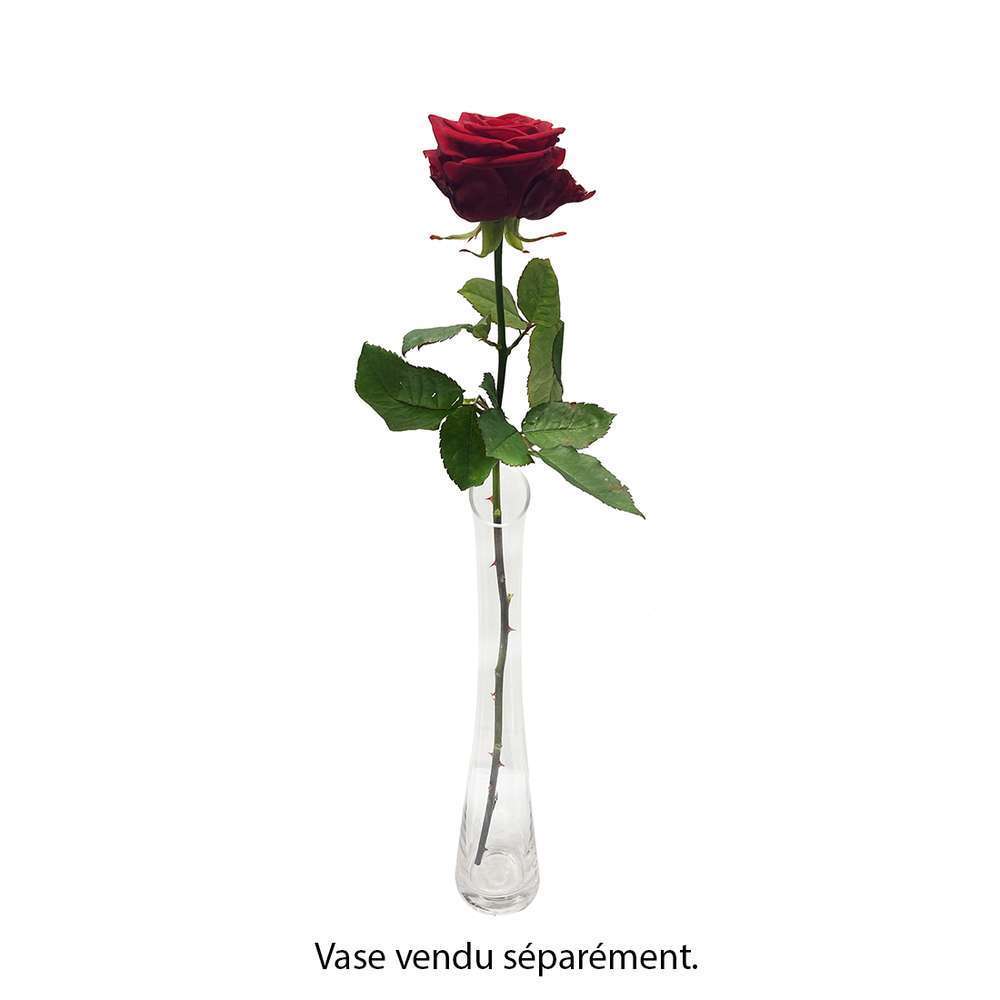  Rose rouge H.70cm, Ã  la piÃšce
