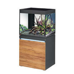 Aquarium + meuble Incpiria poisson d'eau douce - 230 litres
