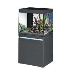 Aquarium + meuble Incpiria poisson d'eau douce, gris - 230 litres