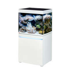 Aquarium marin Incpiria 230L coloris blanc