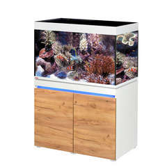 Aquarium Marin Incpiria poisson d'eau de mer - 330 litres
