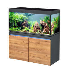 Aquarium Incpiria LED poisson d'eau douce - 430 litres