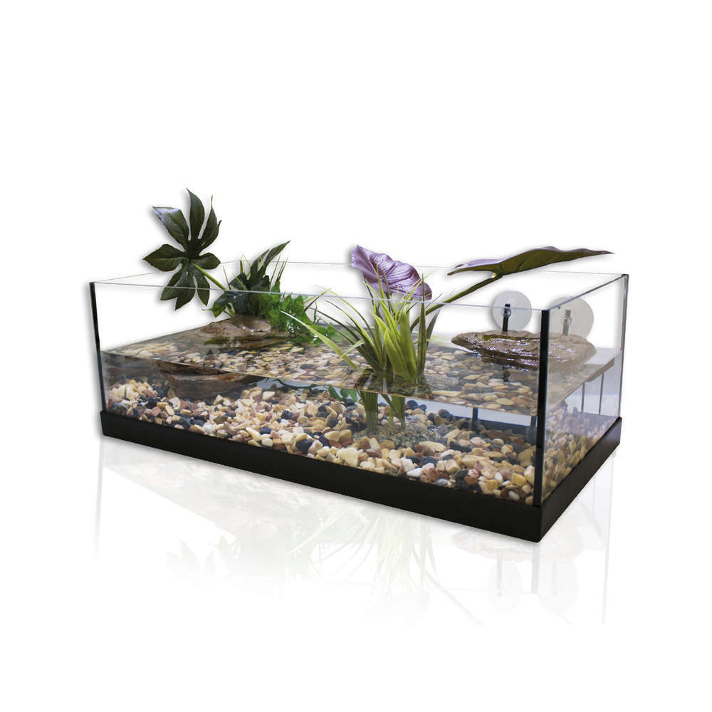 Kit pour tortue aquatique, 80x35x25cm Aquavie