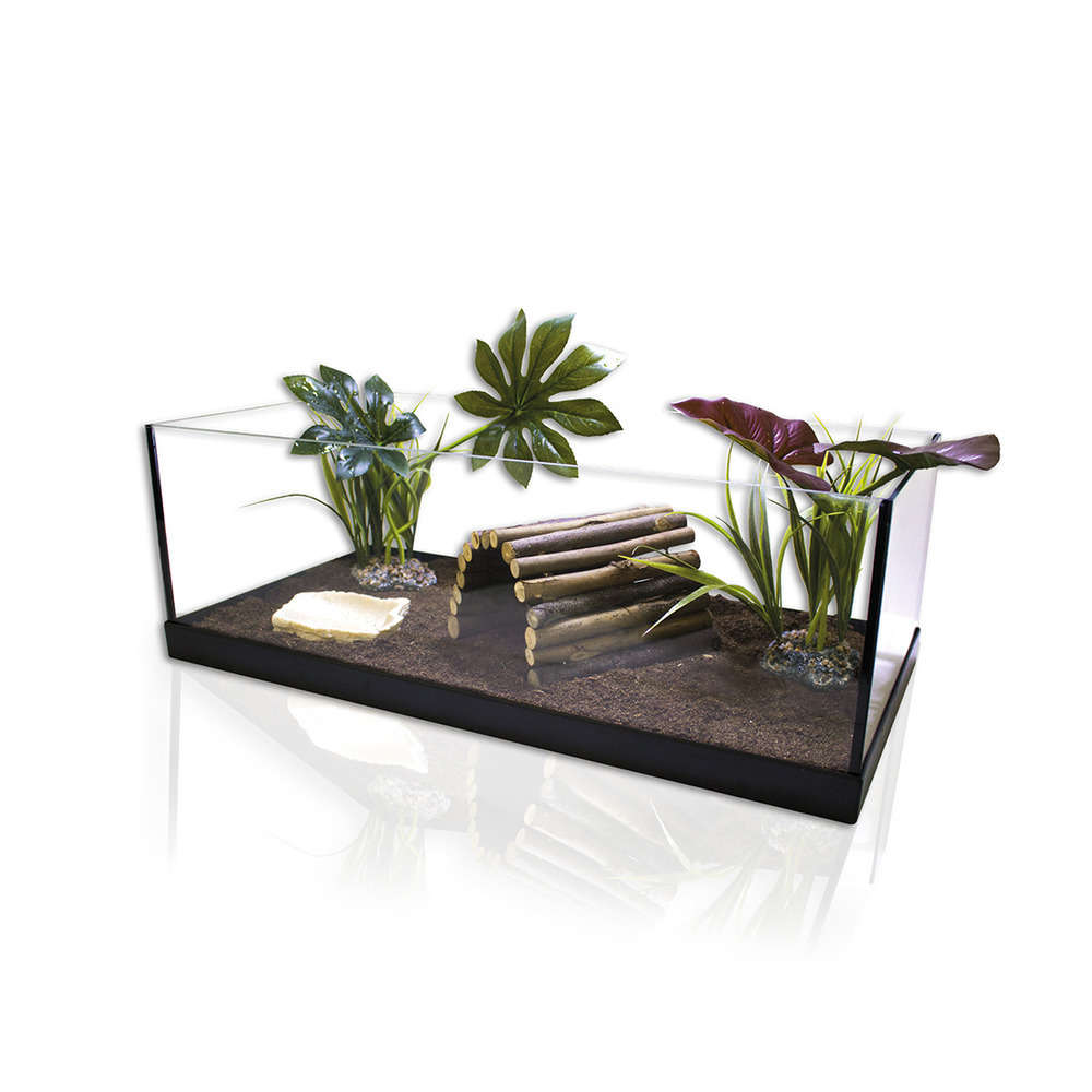 Kit pour tortue terrestre, 80 Ã©quipÃ© RP