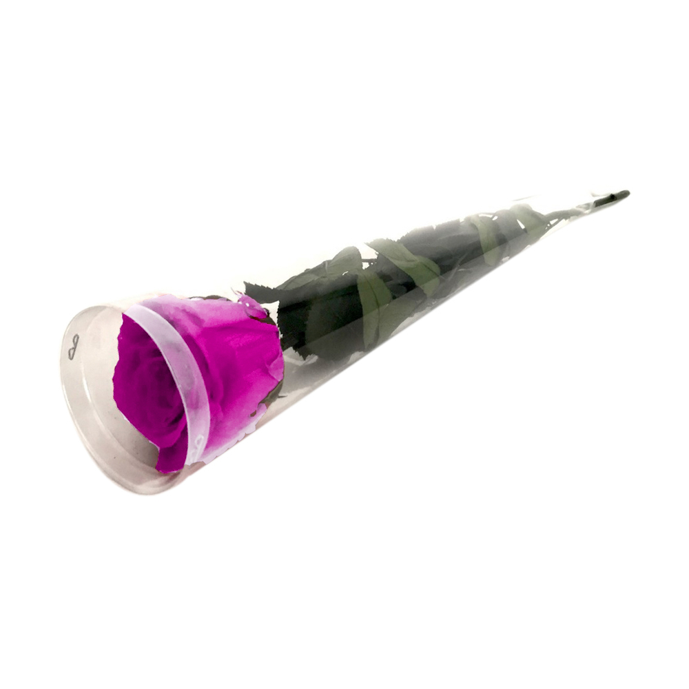 ROSE FUSHIA ETUI CONIQUE RIGID-(747451)