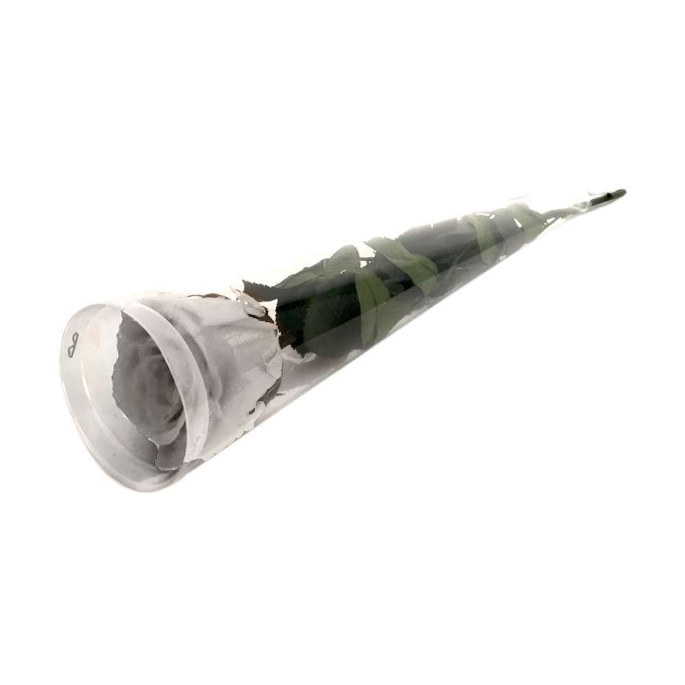 ROSE BLC ETUI CONIQUE RIGIDE-(747453)