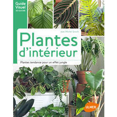 PLANTES D INTERIEUR-(747784)