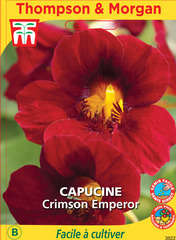 Capucine Crimson Emperor graines en sachet