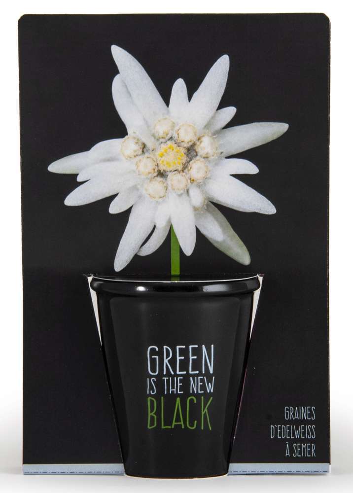 POT BLACK EDELWEISS-(748728)