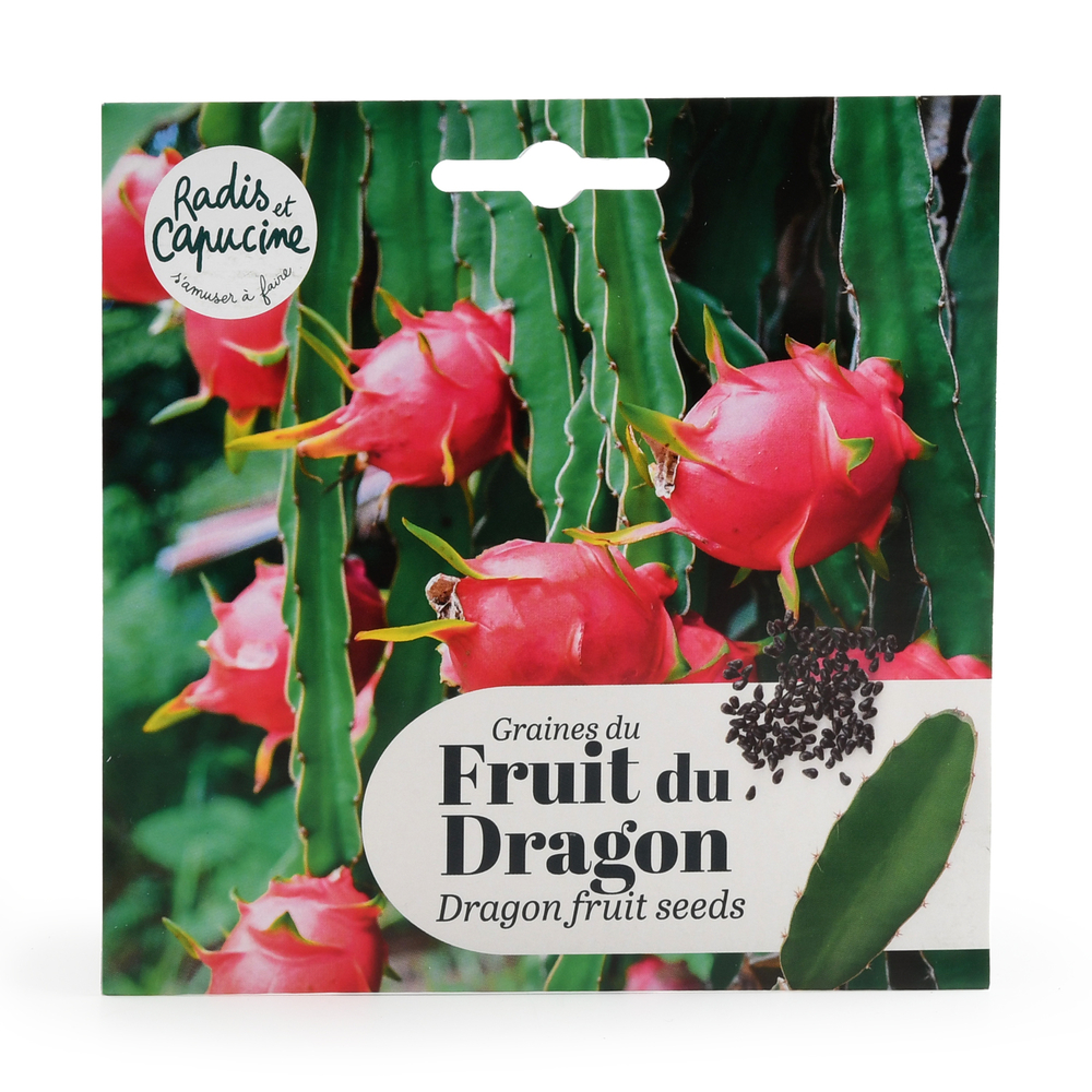 SACHET GRAINES FRUIT DU DRAGON-(748730)