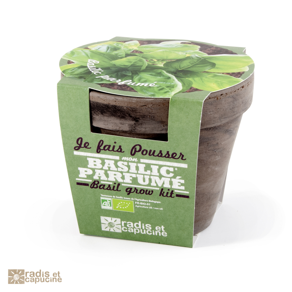 Pot basilic Bio en terre cuite
