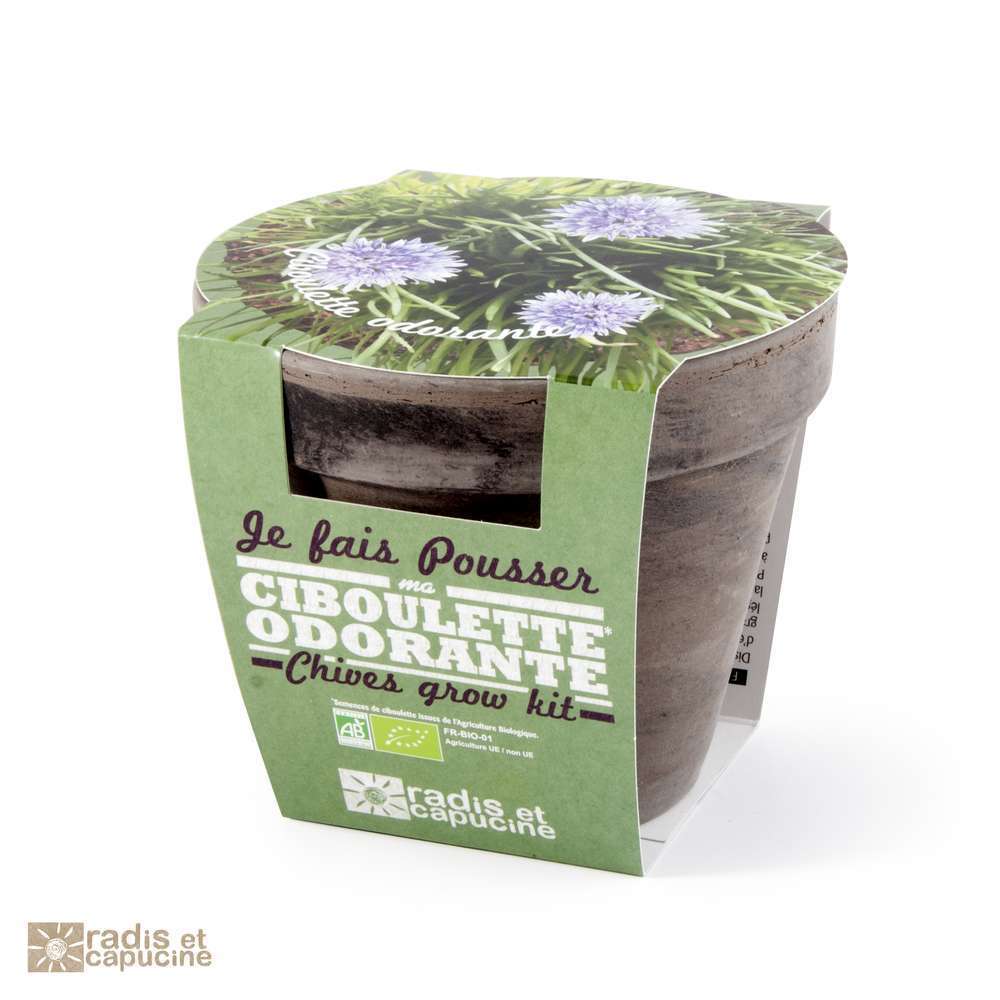 POT TC BASALTE CIBOULETTE-(748741)