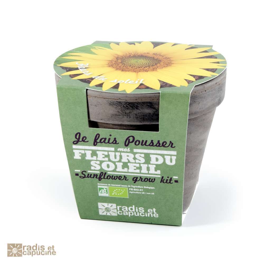 POT TC BASALTE TOURNESOL-(748745)