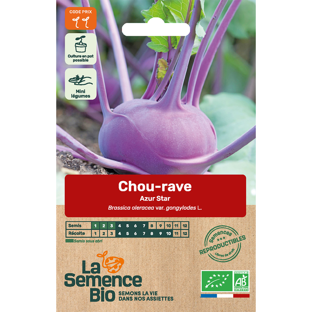 CHOU RAVE AZUR STAR AGR BIO-(748983)