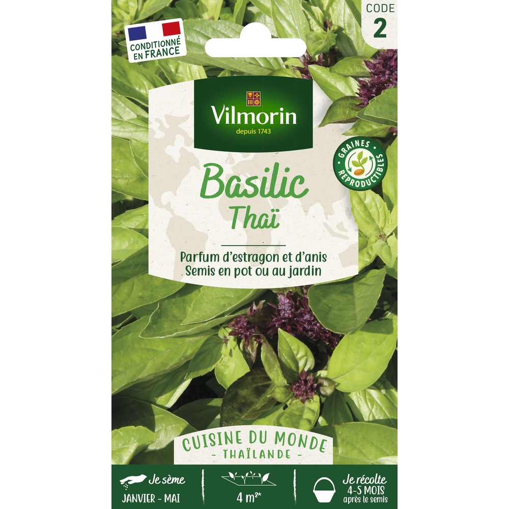 Graines de basilic Thaï en sachet