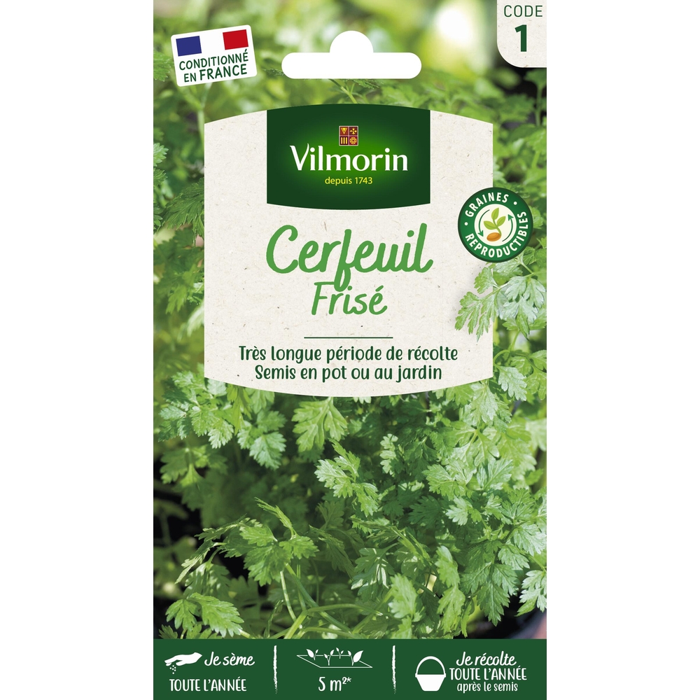 Graines de cerfeuil frisé en sachet