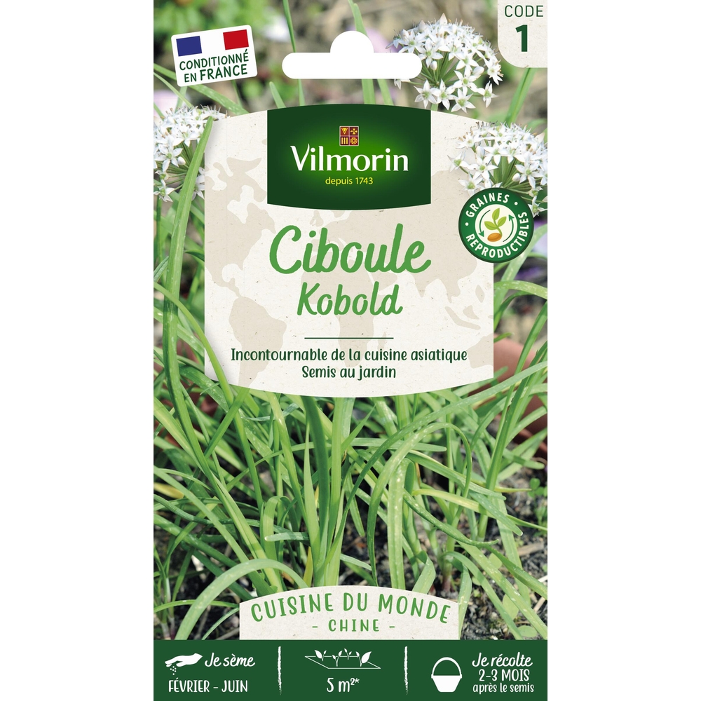 Graines de ciboule de Chine en sachet