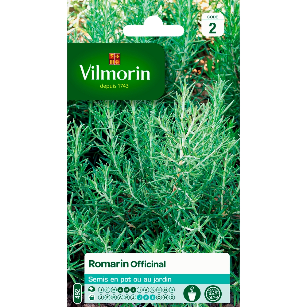 Graines de Romarin officinal en sachet