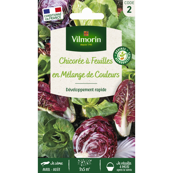 Graines de chicorée Sauvage en Mélange en sachet