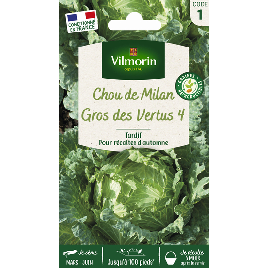 Graines de chou de Milan Gros des Vertus en sachet