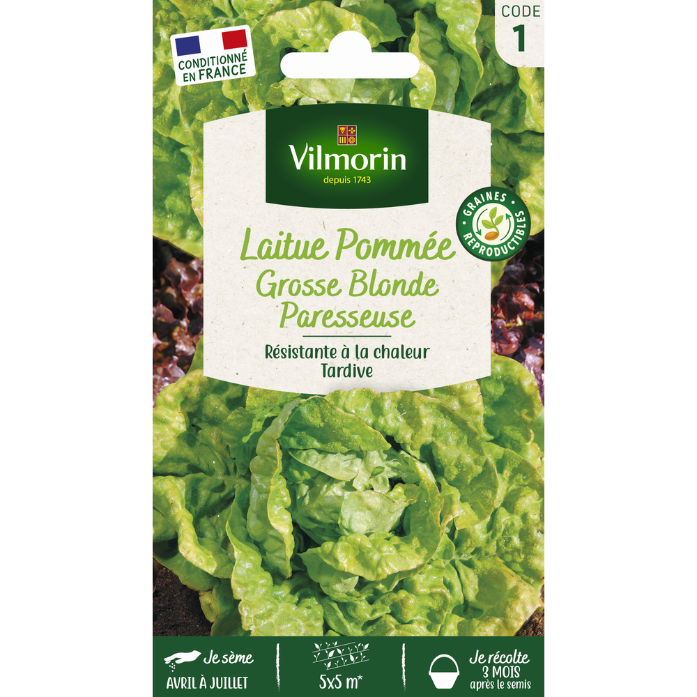 Graines de laitue Pommée Grosse Blonde Paresseuse en sachet