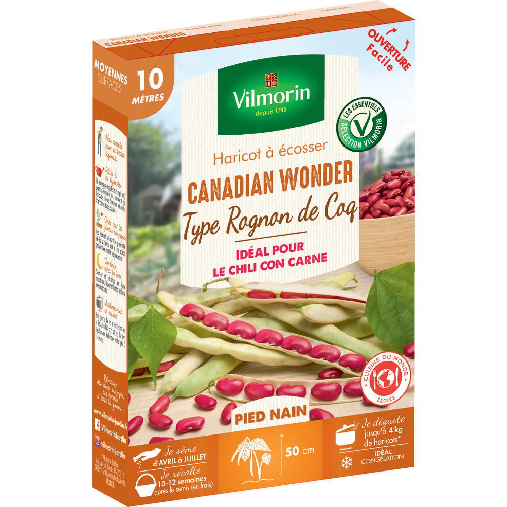 Graines de haricot nain à Ecosser Canadian Wonder en boite