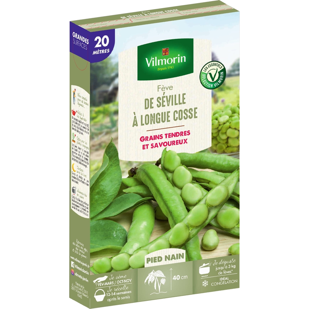 Graines de fève de Séville à Longue Cosse en sachet