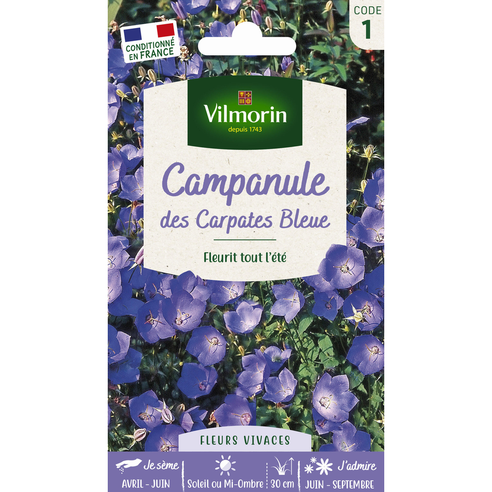 Campanule des Carpathes Bleue 0,5 g