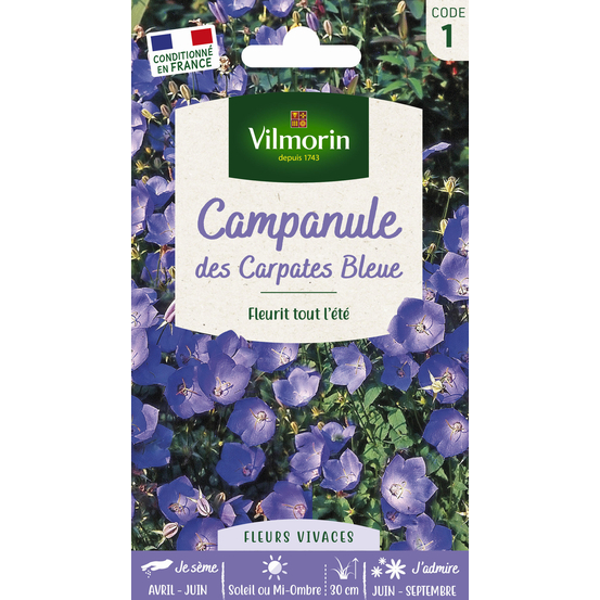 Campanule des Carpathes Bleue 0,5 g