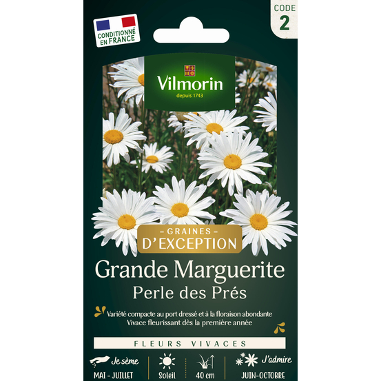 Grande Marguerite Perle des Prés 1 g