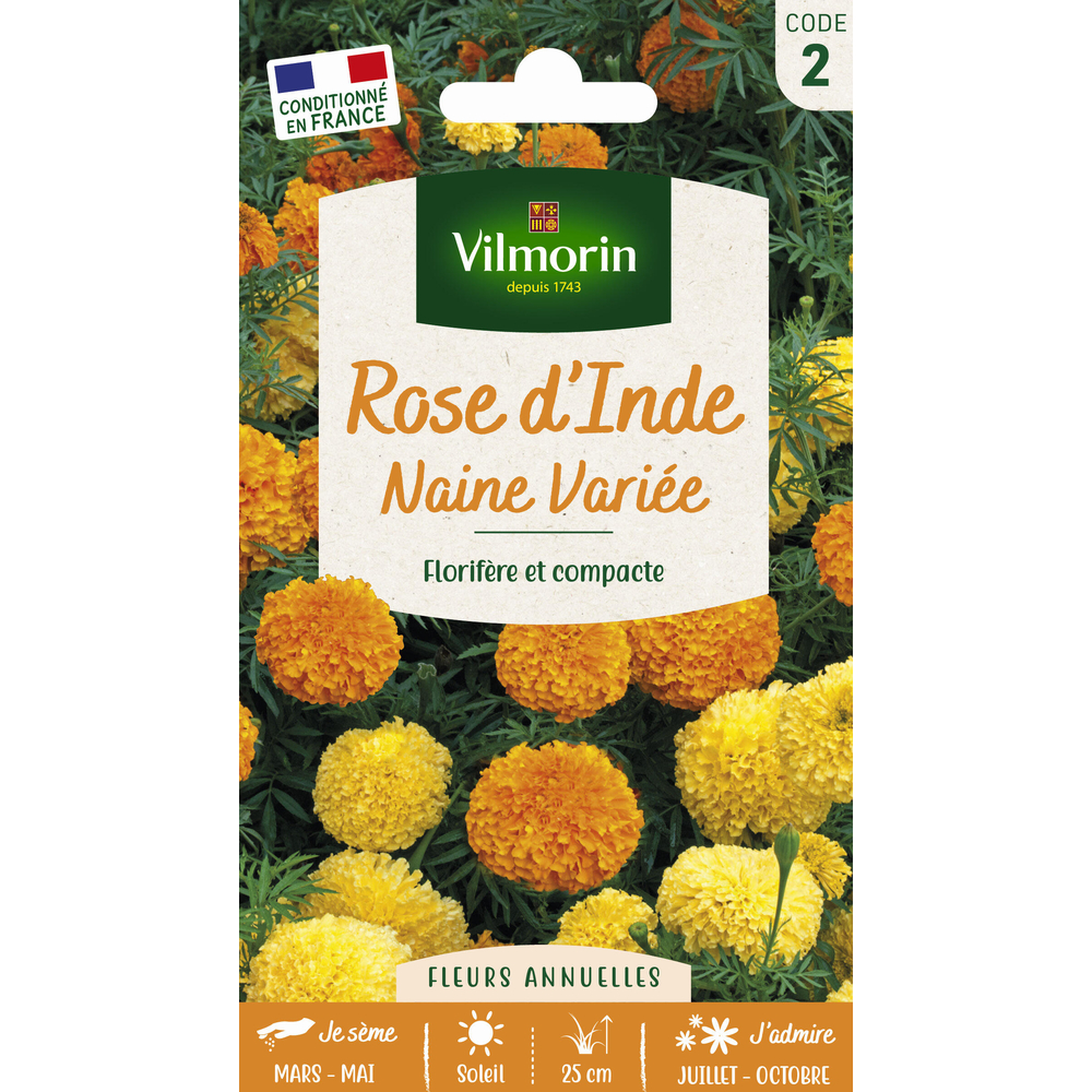 Rose d’Inde Naine Variée 1 g