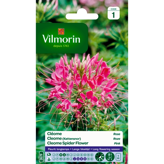Cléome Rose 2 g