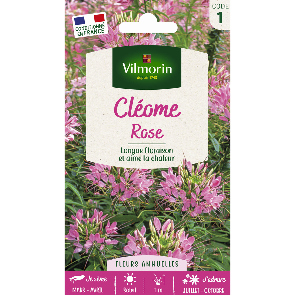 Cléome Rose 2 g