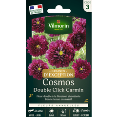 Cosmos Double Click Carmin 1 g