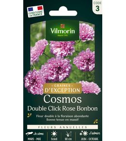 Cosmos Double Click Rose Bonbon 1 g