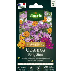 Cosmos Feng Shui 2 g