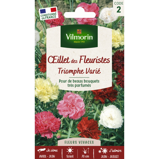 Œillet des Fleuristes Triomphe Varié 0,6 g