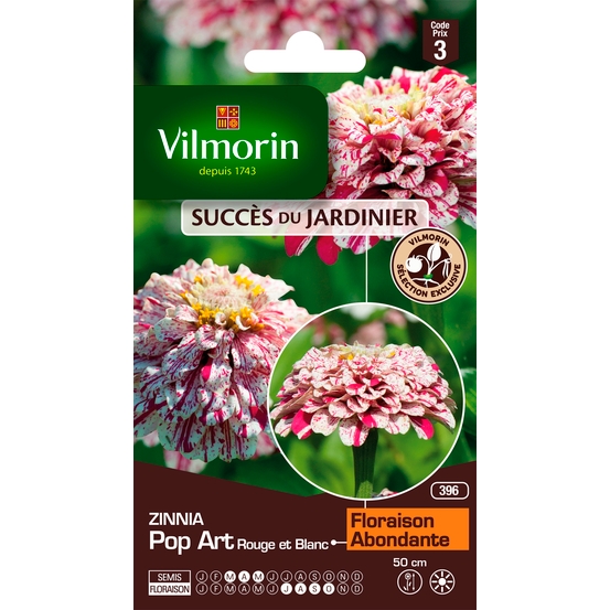 Zinnia Pop Art Rouge et Blanc 2 g