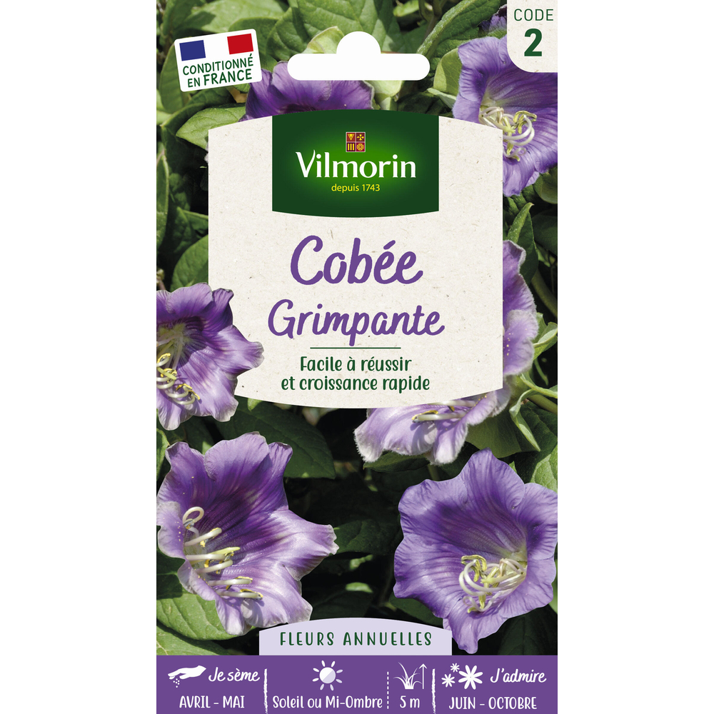 Cobée Grimpante 1,5 g