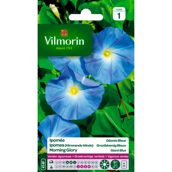 Ipomée Géante Bleue 4 g
