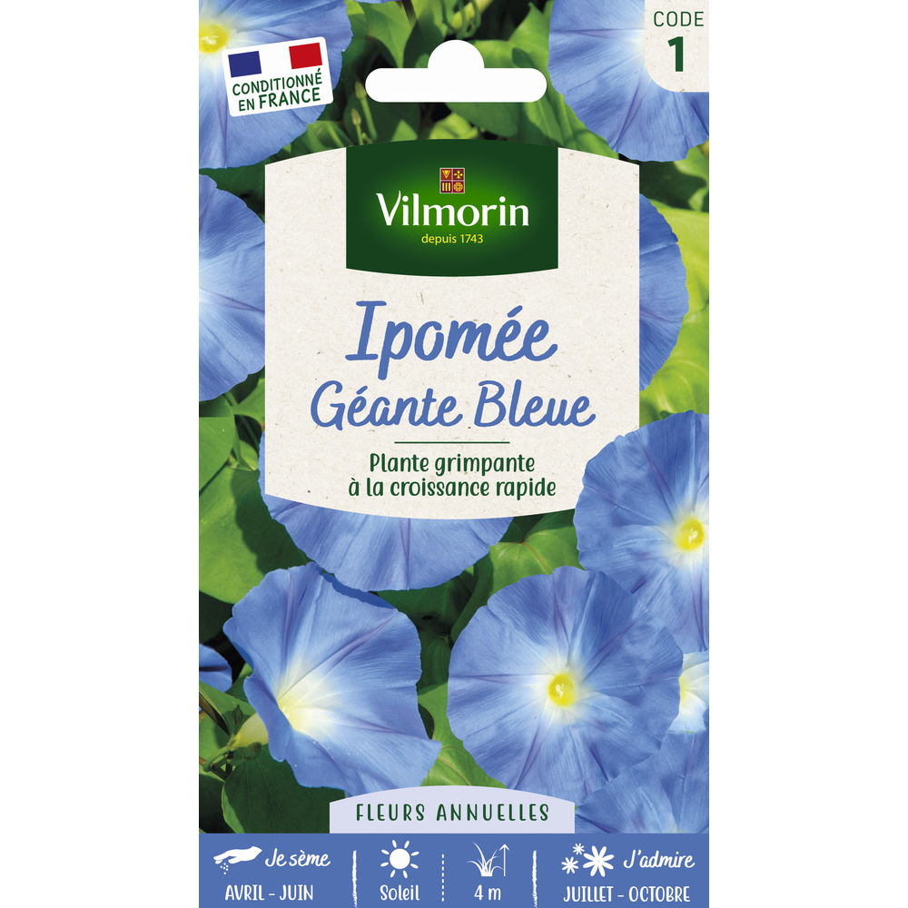 Ipomée Géante Bleue 4 g