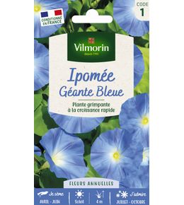 Ipomée Géante Bleue 4 g