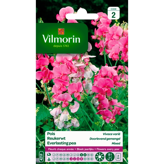 Pois Vivace Varié 2 g