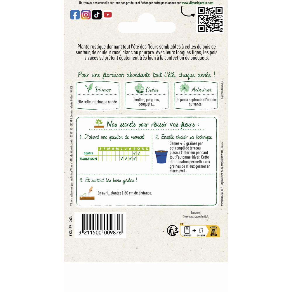 Pois Vivace Varié 2 g