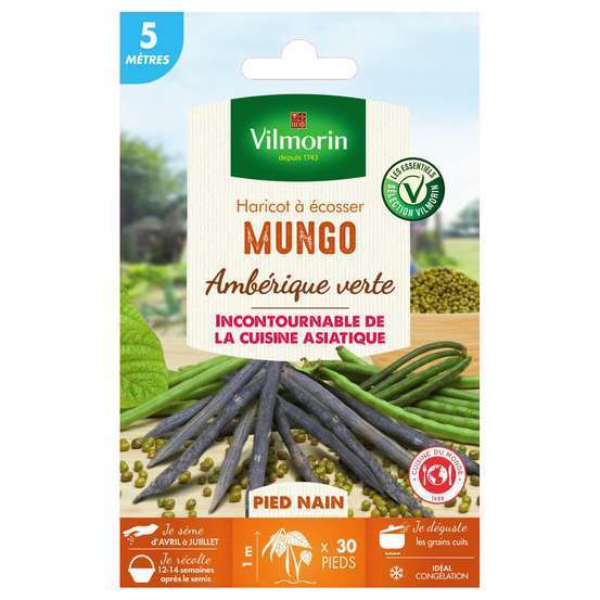 Graines de haricot Mungo (Ambérique Verte) en boite Vilmorin