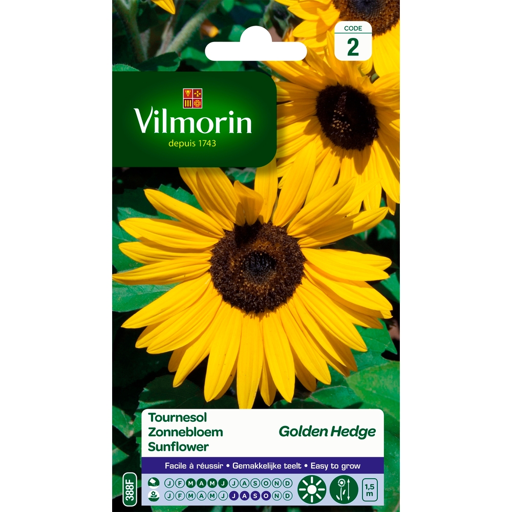Tournesol Golden Hedge 3 g