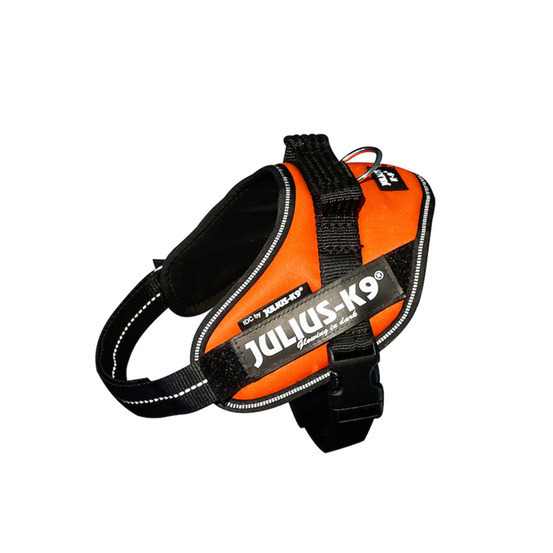 Harnais lumino orange fluo T.mini