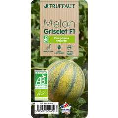  

 
 
Melon 'Griselet' F1':AB C0.5L
 