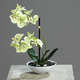 Orchidee artificielle 2 hampes en coupe plastique H 26 cm Touché reel