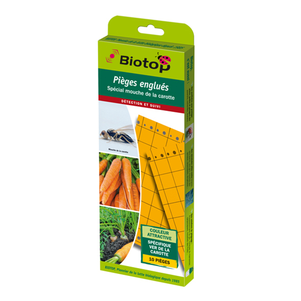 piège englué chromatique oranges